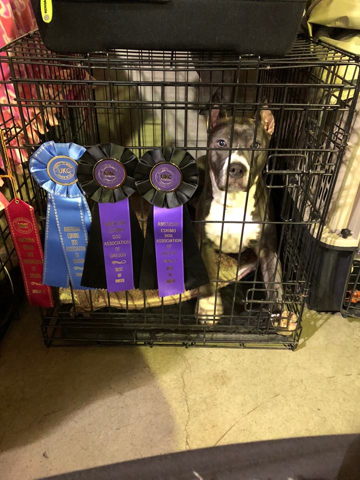 Evay showing off her ribbons