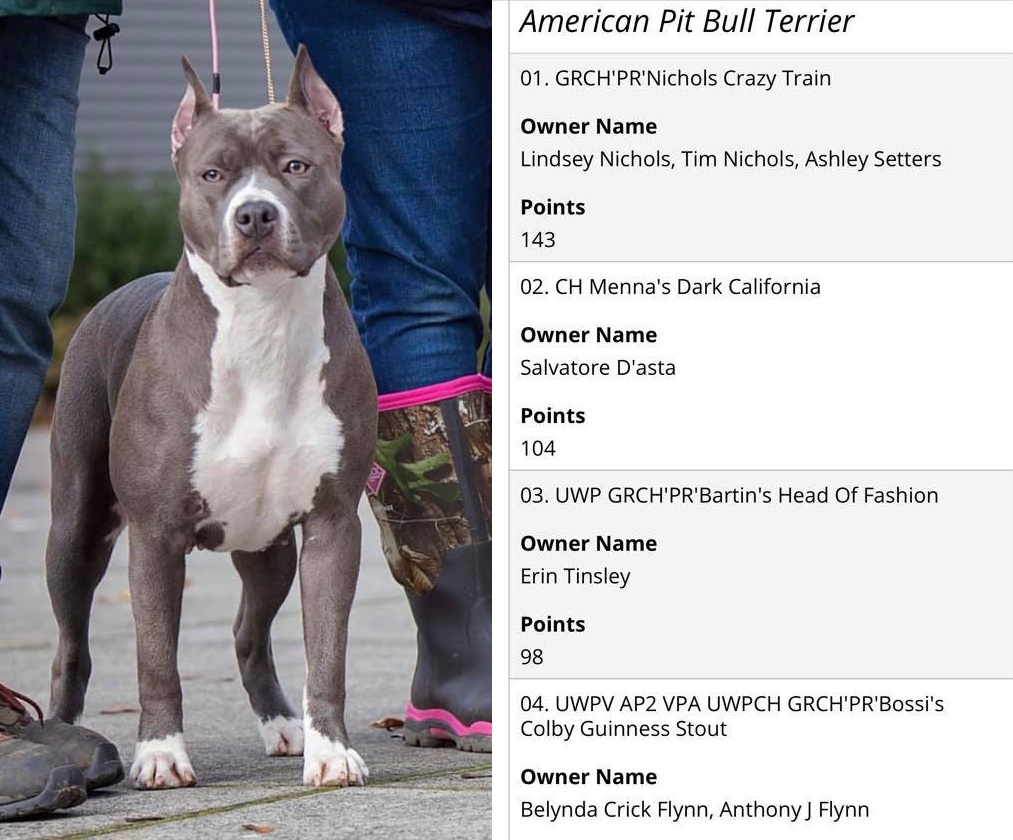 Evay is ranked number three UKC pit bull terrier in the world 2018