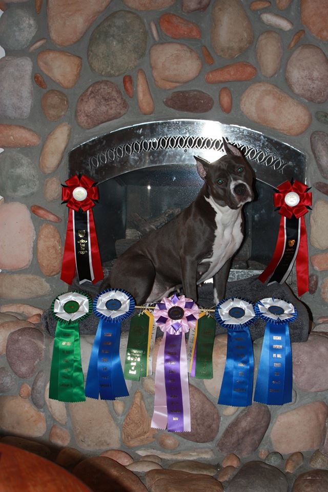 Evay striking a pose with all her ribbons from the recent show
