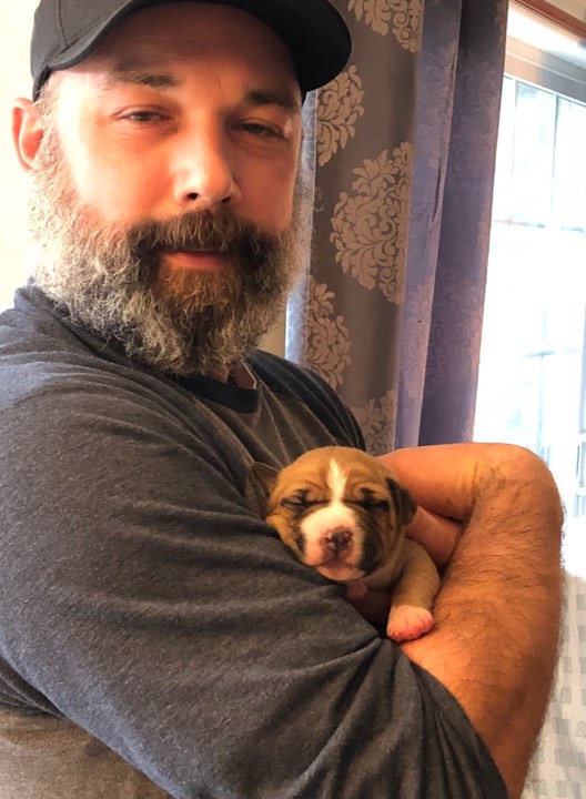 pit bull baby Jack being held by his owner and it is love at first sight