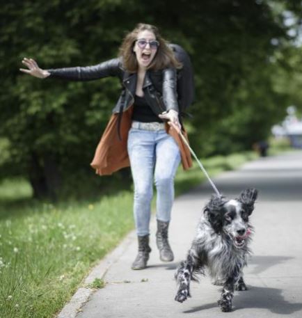 woman being taken for a walk by her uncontrolled dog