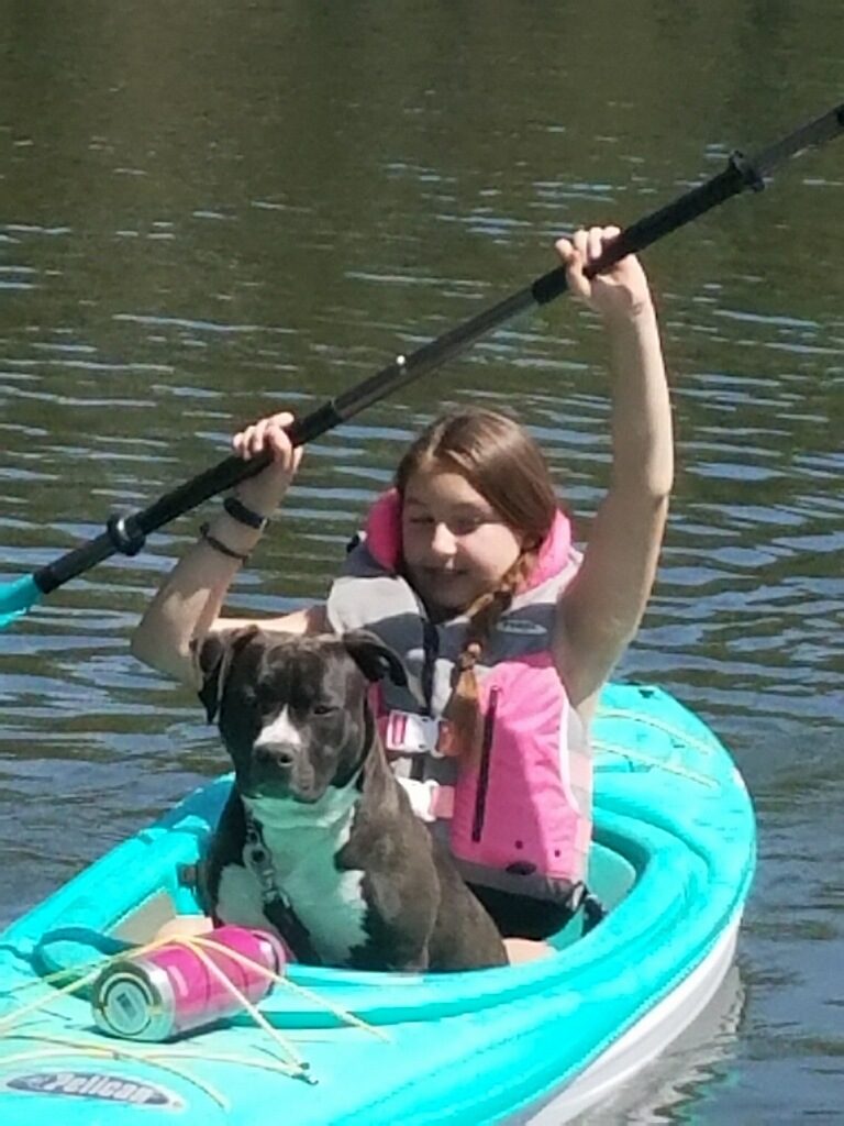 seal and white pit bull Molly enjoying some lake time