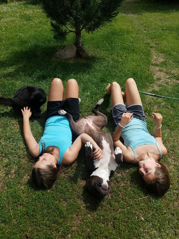 black and white pit bull Molly is the happiest with her girls