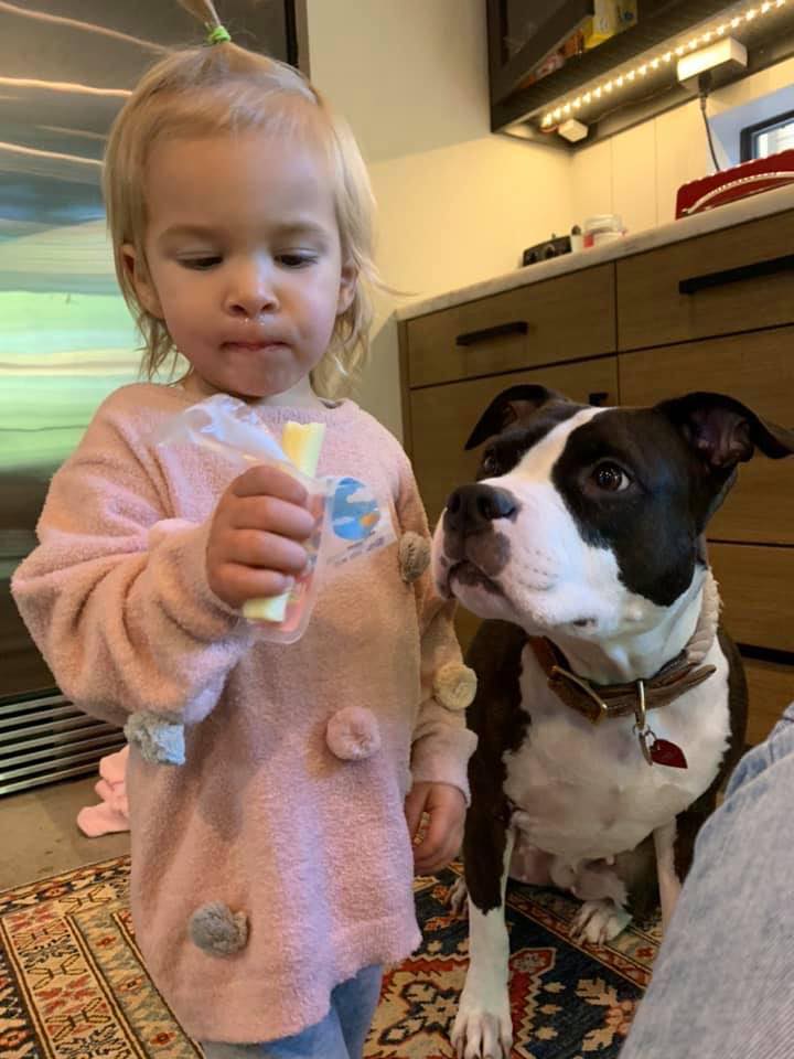 are pit bulls good with kids?