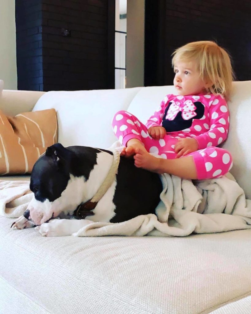 are american pit bull terriers good with kids?