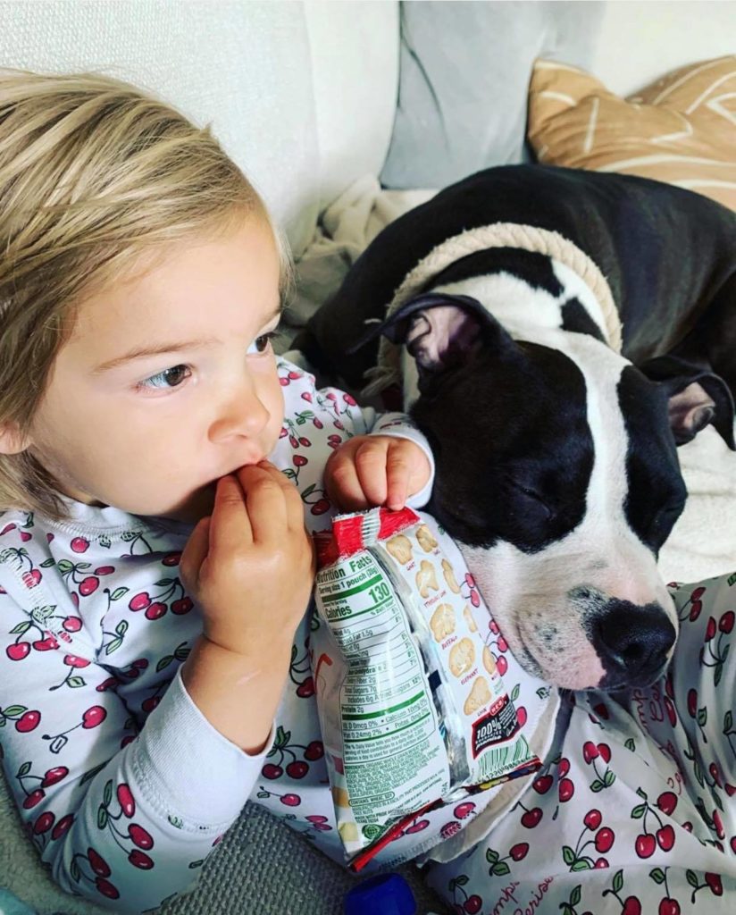 are pit bulls good with children?