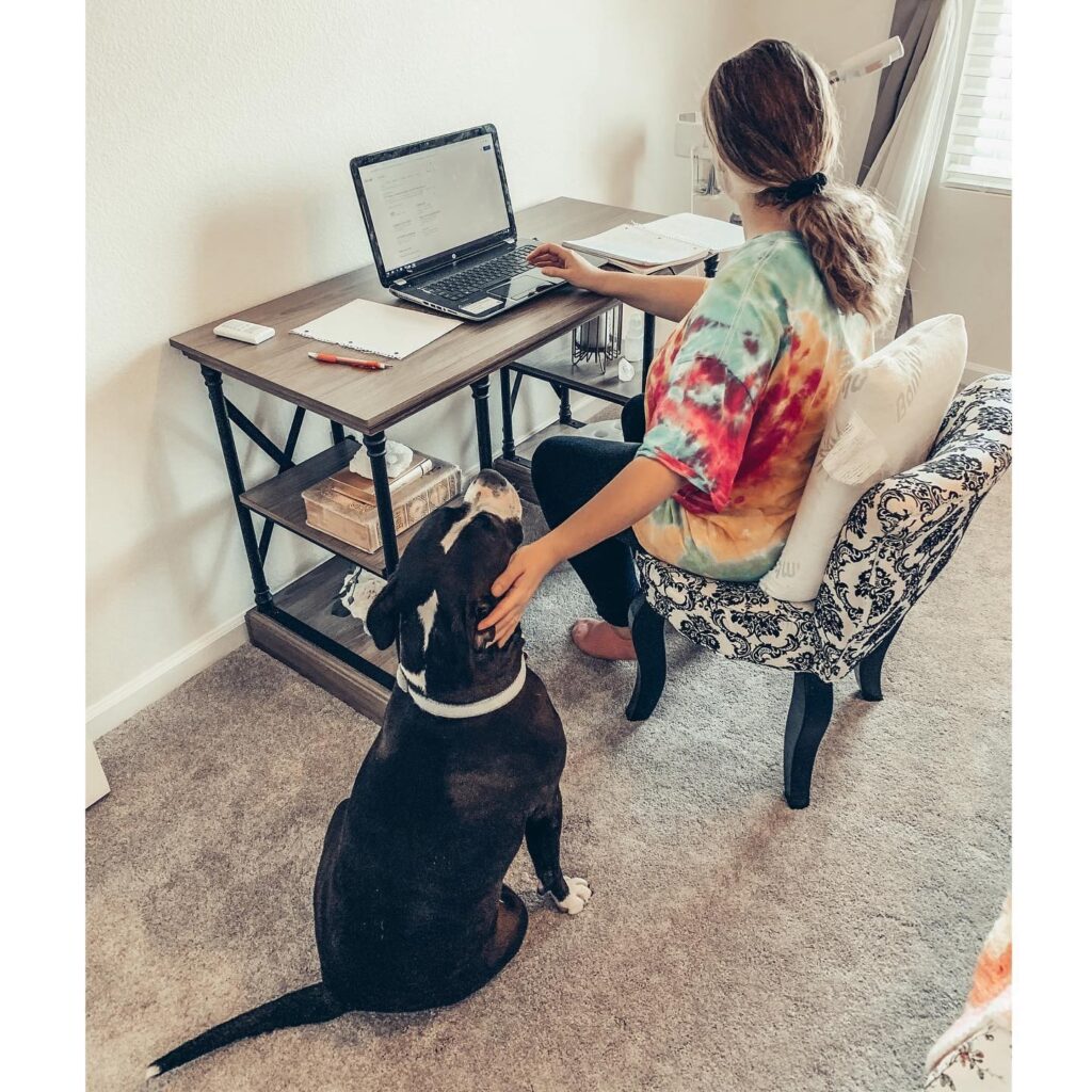 working from home with a pit bull