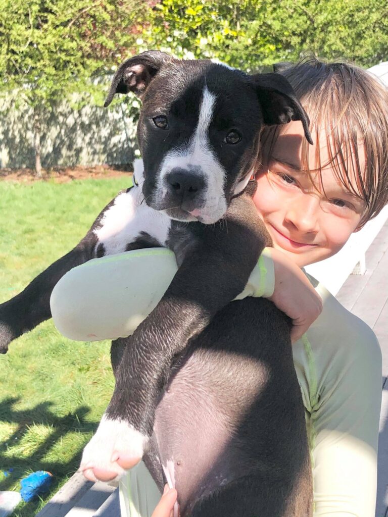 is a pit bull good with kids?