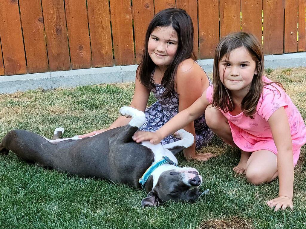 pit bulls are great with kids