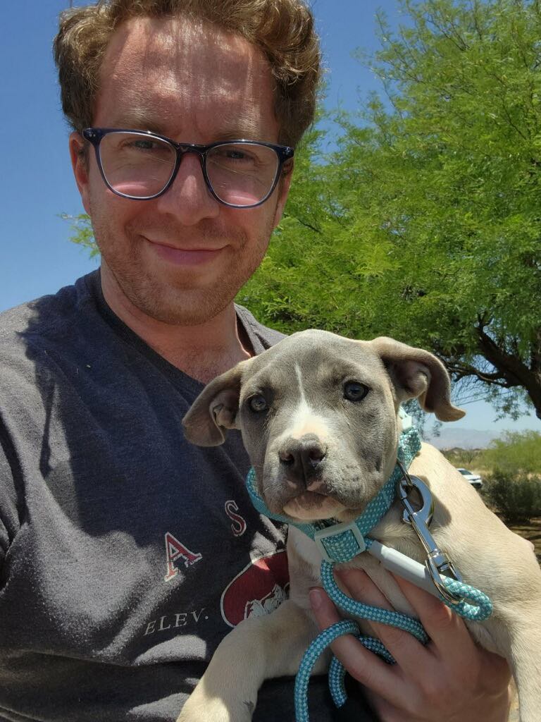 bluenose pit bull puppy in tucson