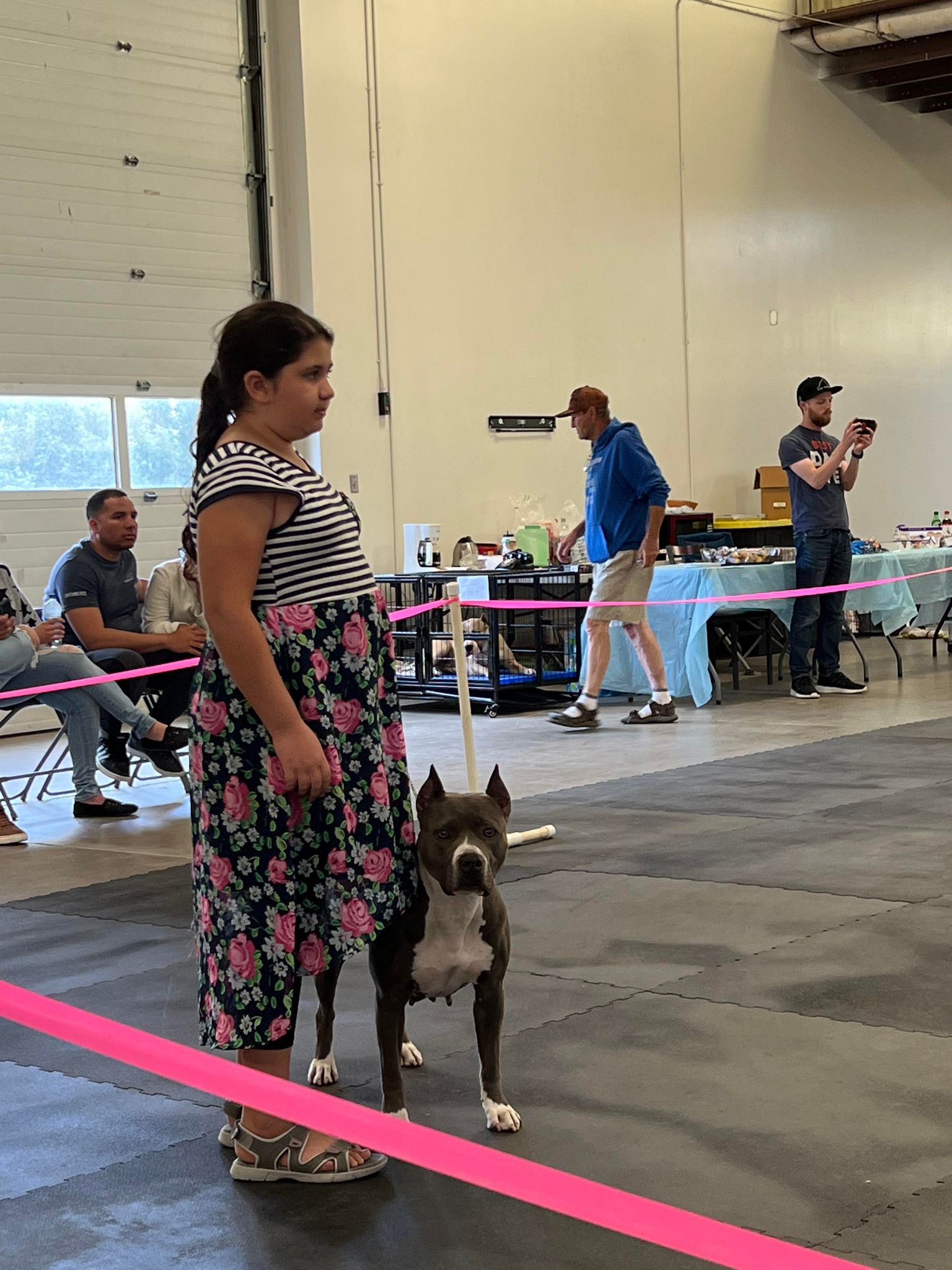 Dog shows are great for kids
