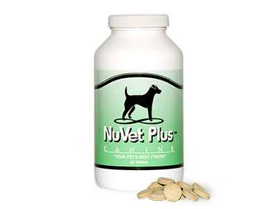 best dog supplement for fighting cancer