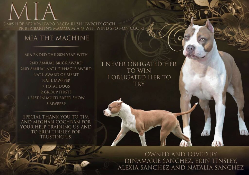 UKC Top Ten APBT