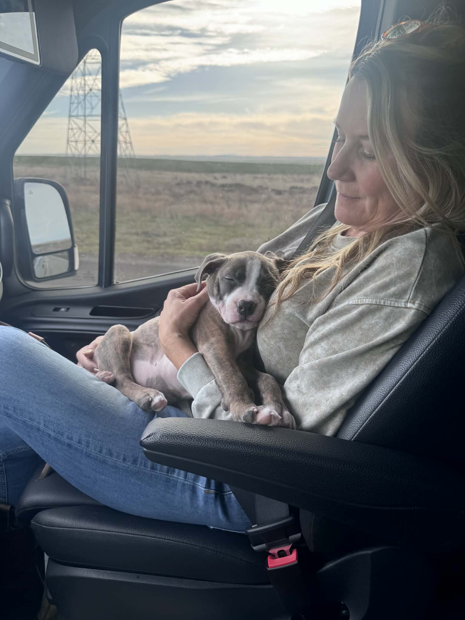 best pit bull breeder