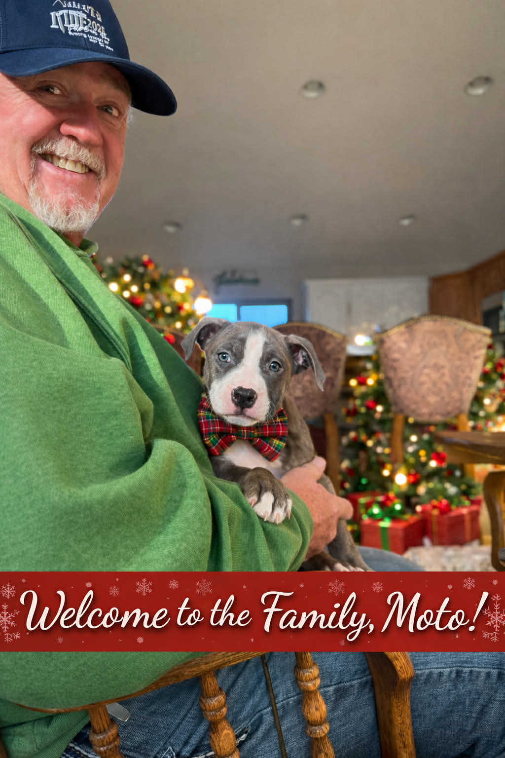 best pit bull breeder