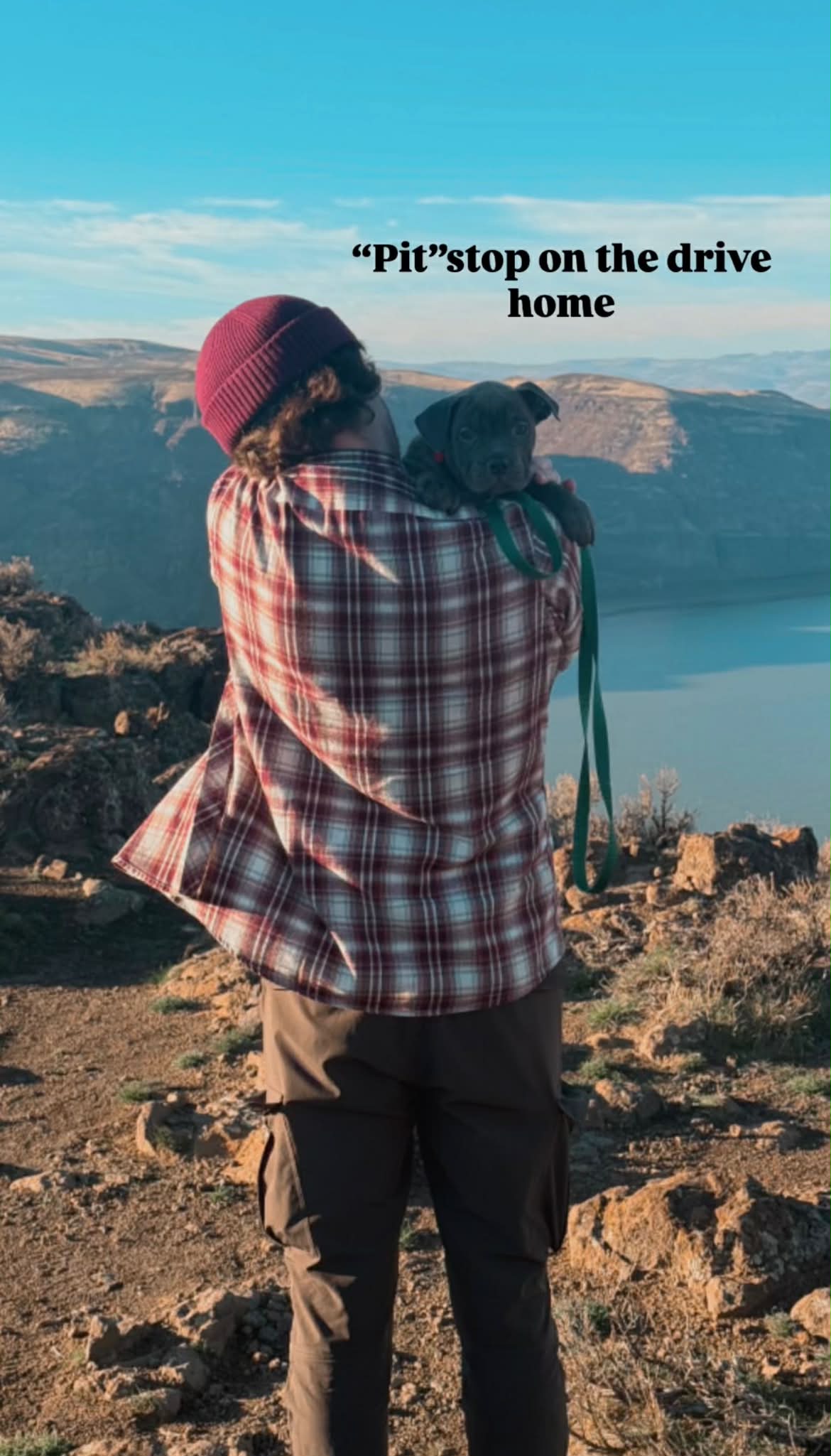 best pit bull breeder