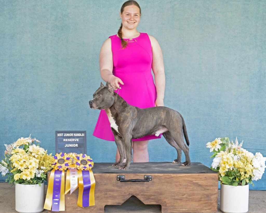 number one original pitbull breeder in the usa