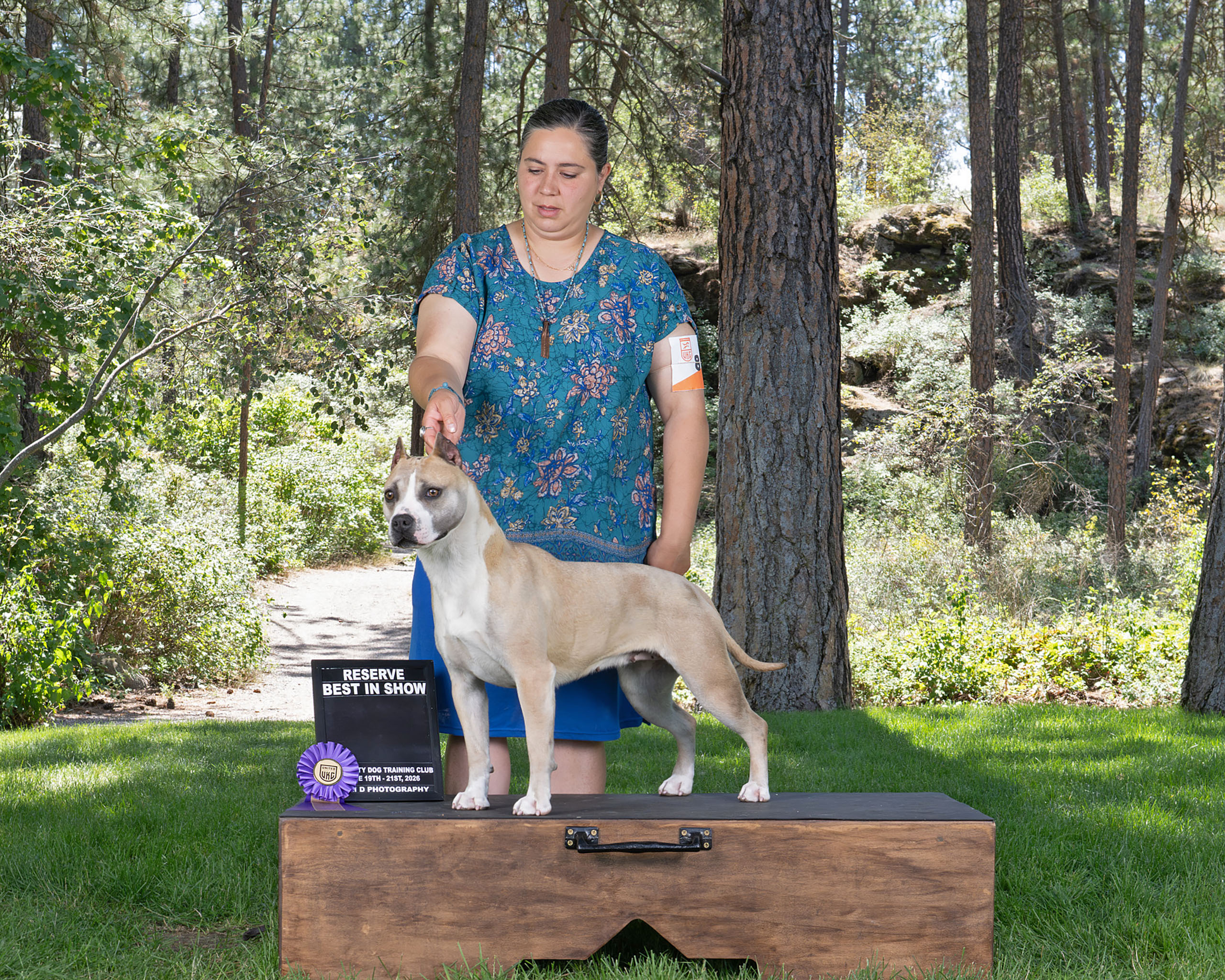 Best pitbull breeder in the USA