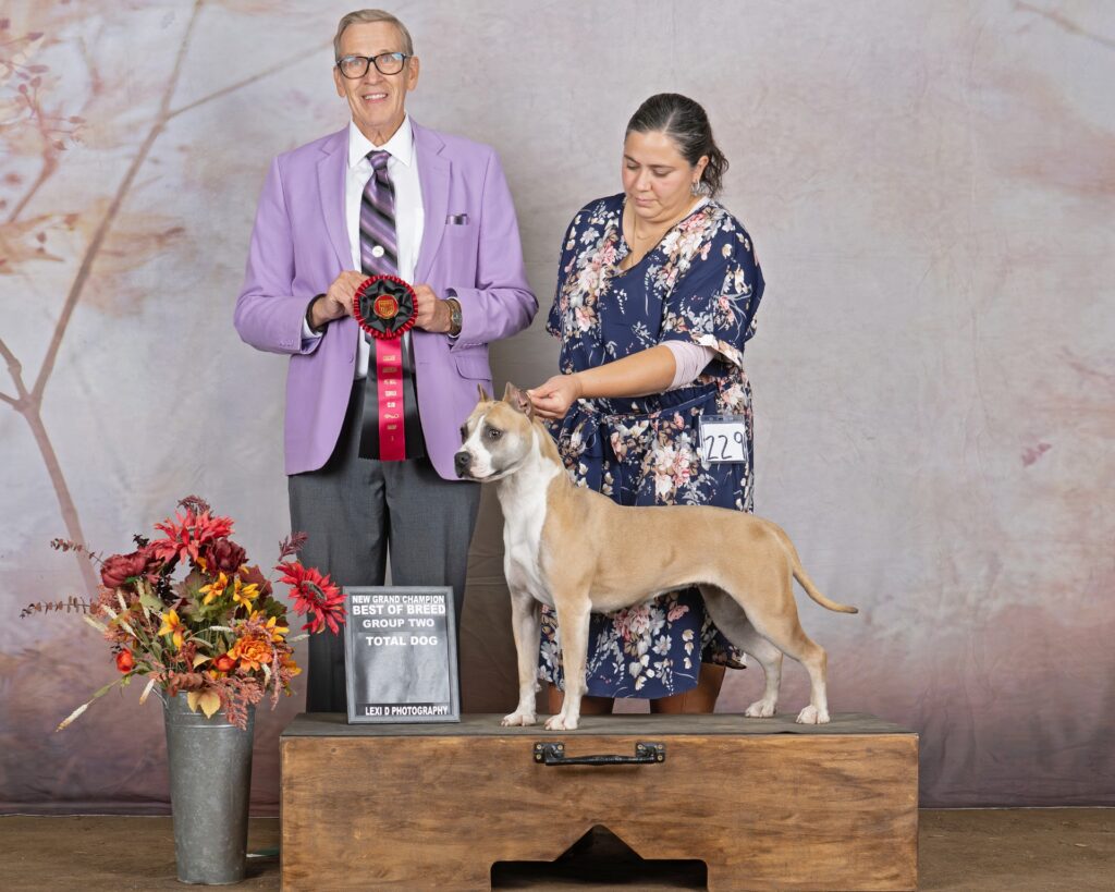 reputable american pit bull terrier breeder
