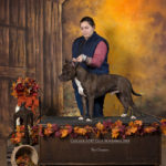 Sam is a New UKC Champion! Pit Bull Terrier Conformation official win picture