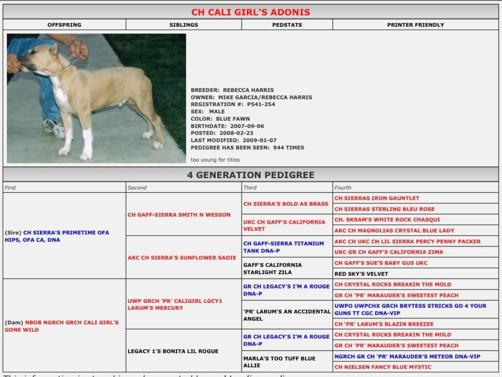 Grand champion american pit bull terrier stud dog