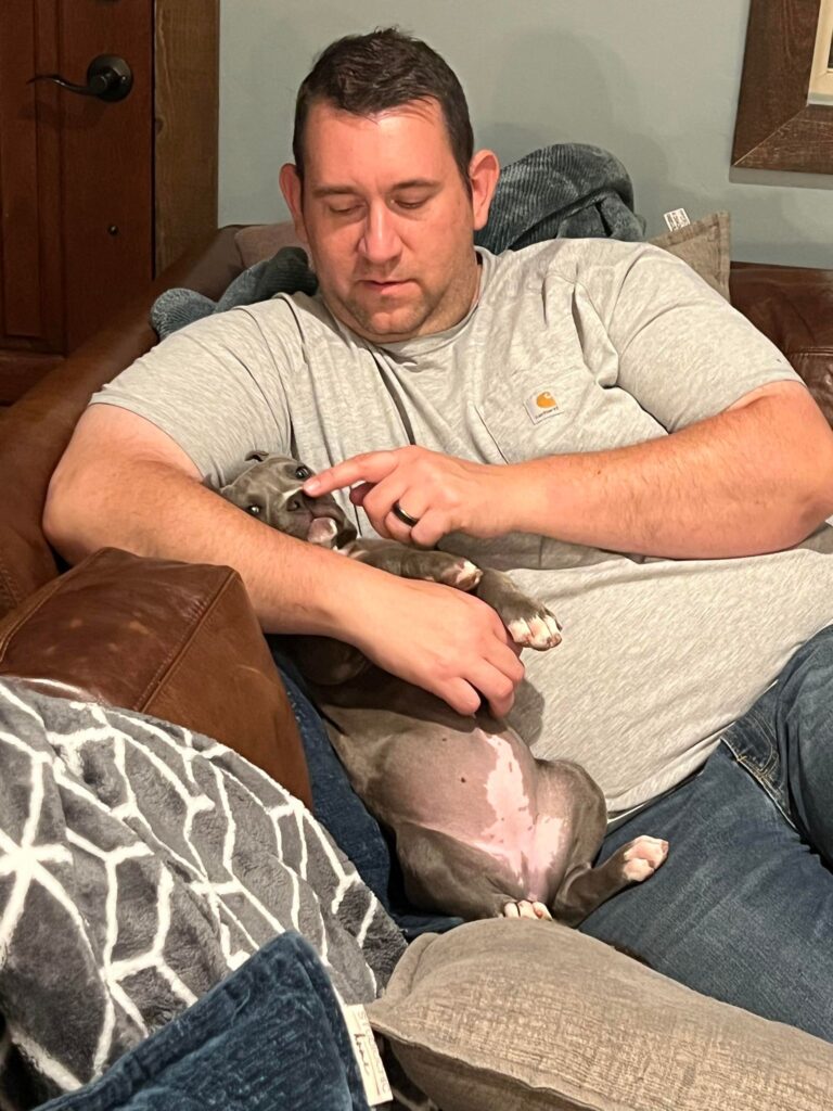 grey pitbull puppy
