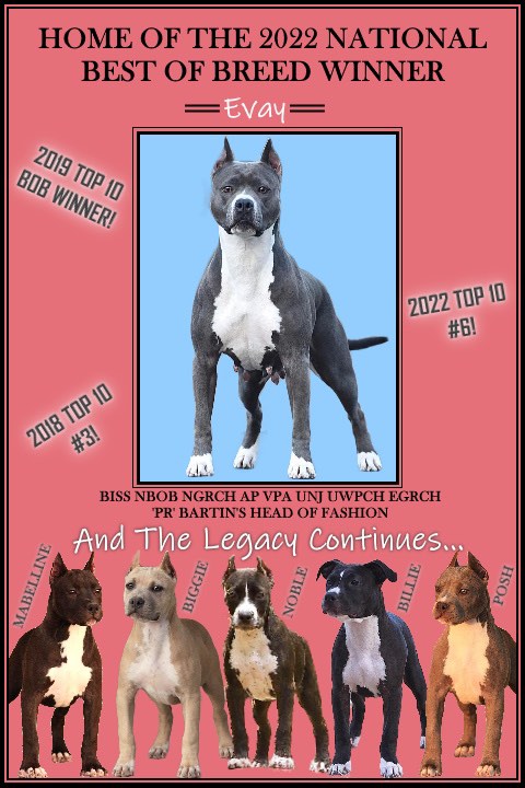 2X National Grand Champion apbt and her kids