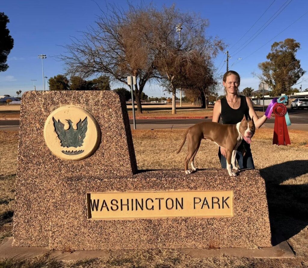 rednose pitbull in arizona