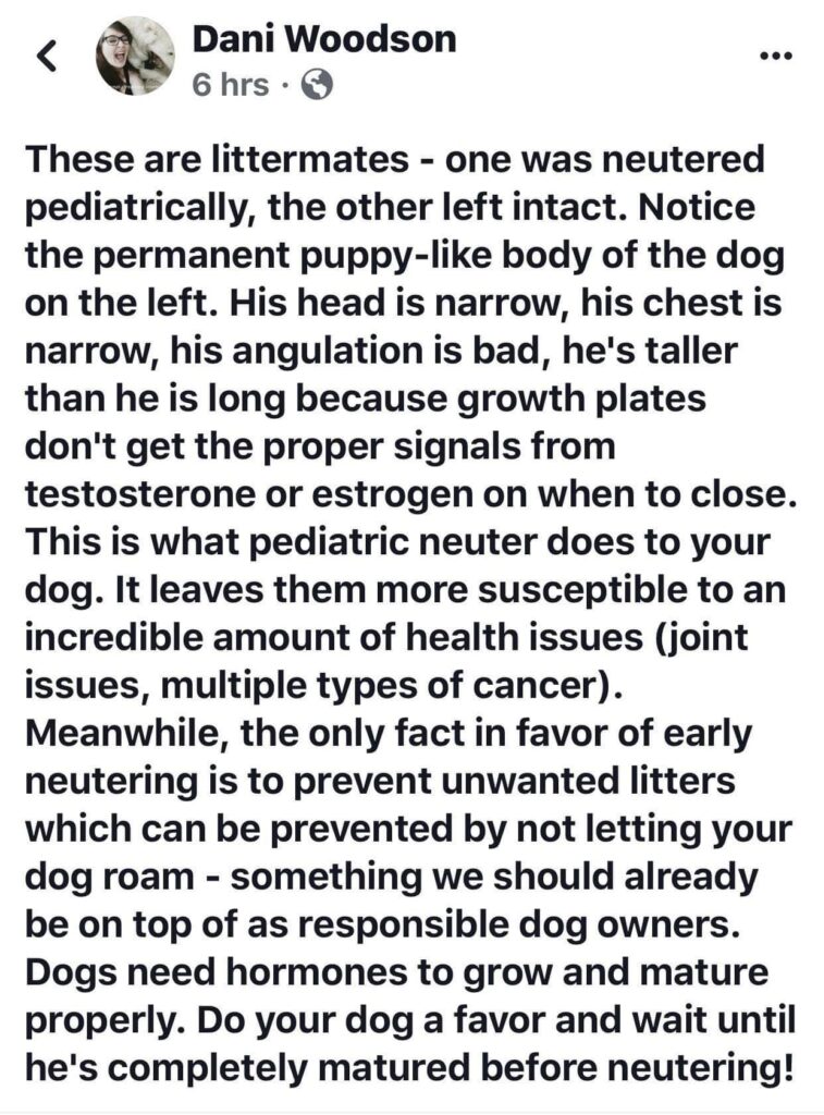 the effects of paediatric spay or neuter