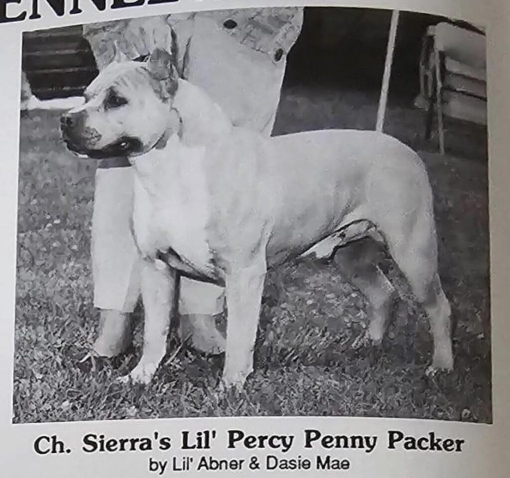 sierra's lil' percy penny packer