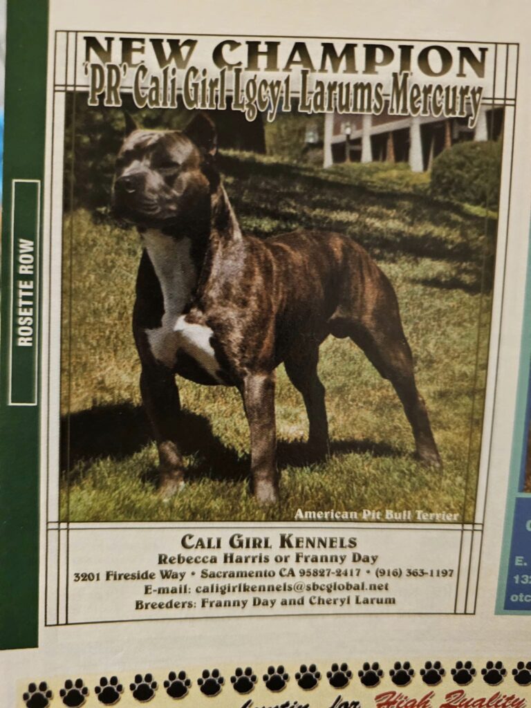 american pit bull terrier frozen semen