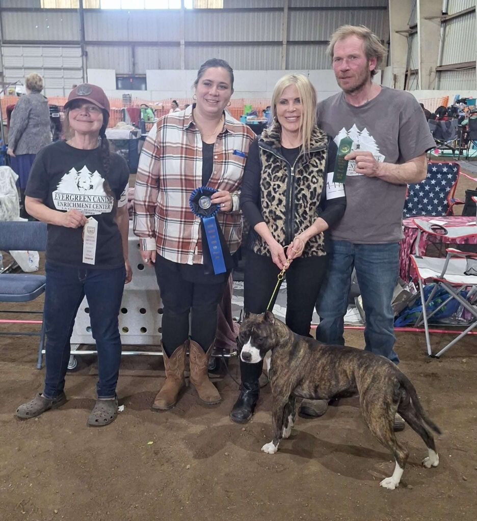 Best pit bulls in the usa