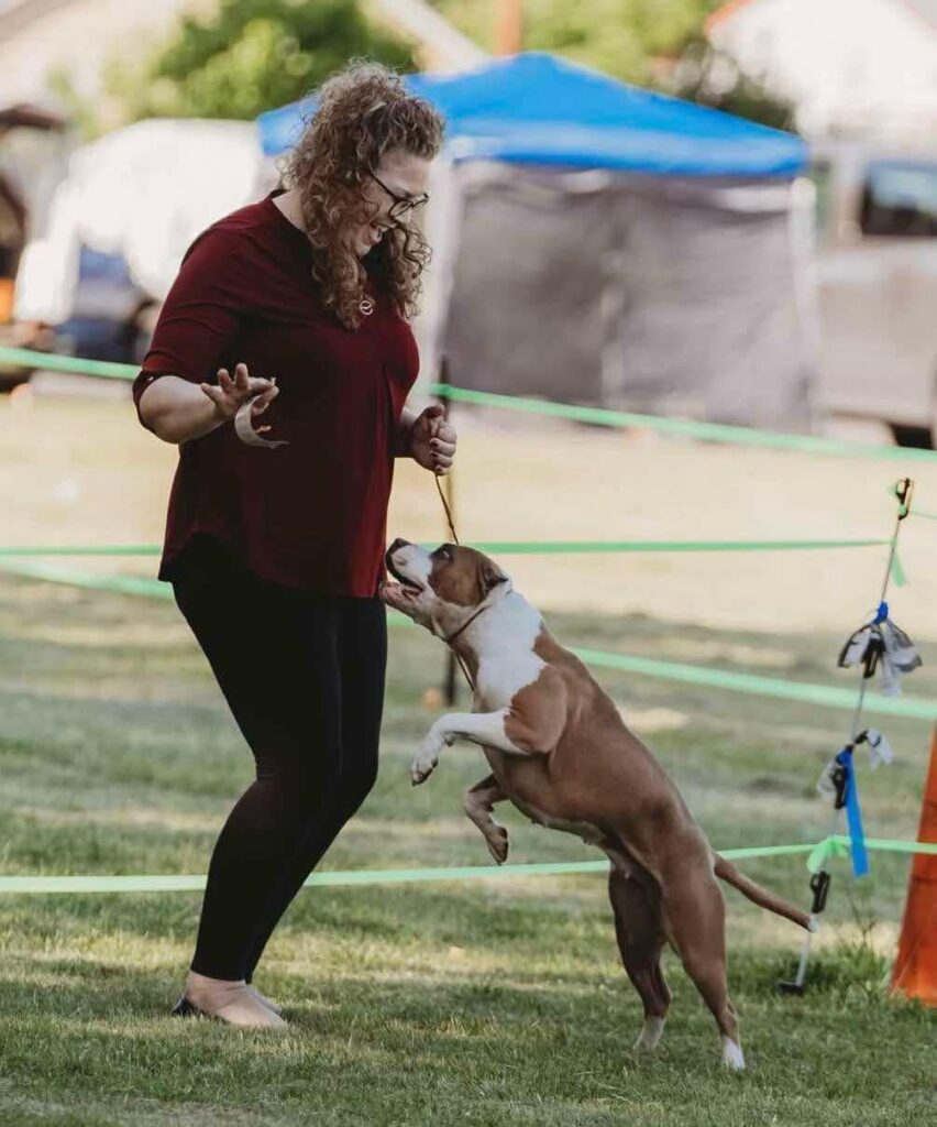 best bluenose pitbull breeder in the usa