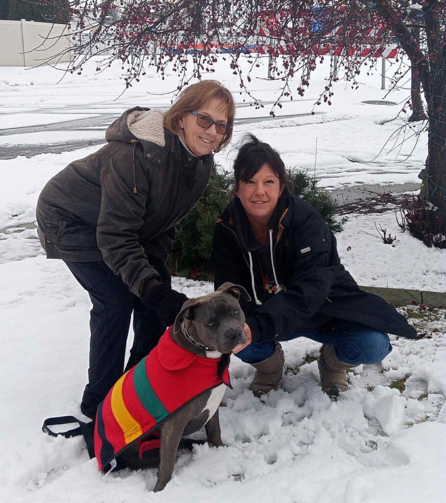 the best american pit bull terrier breeder in the usa