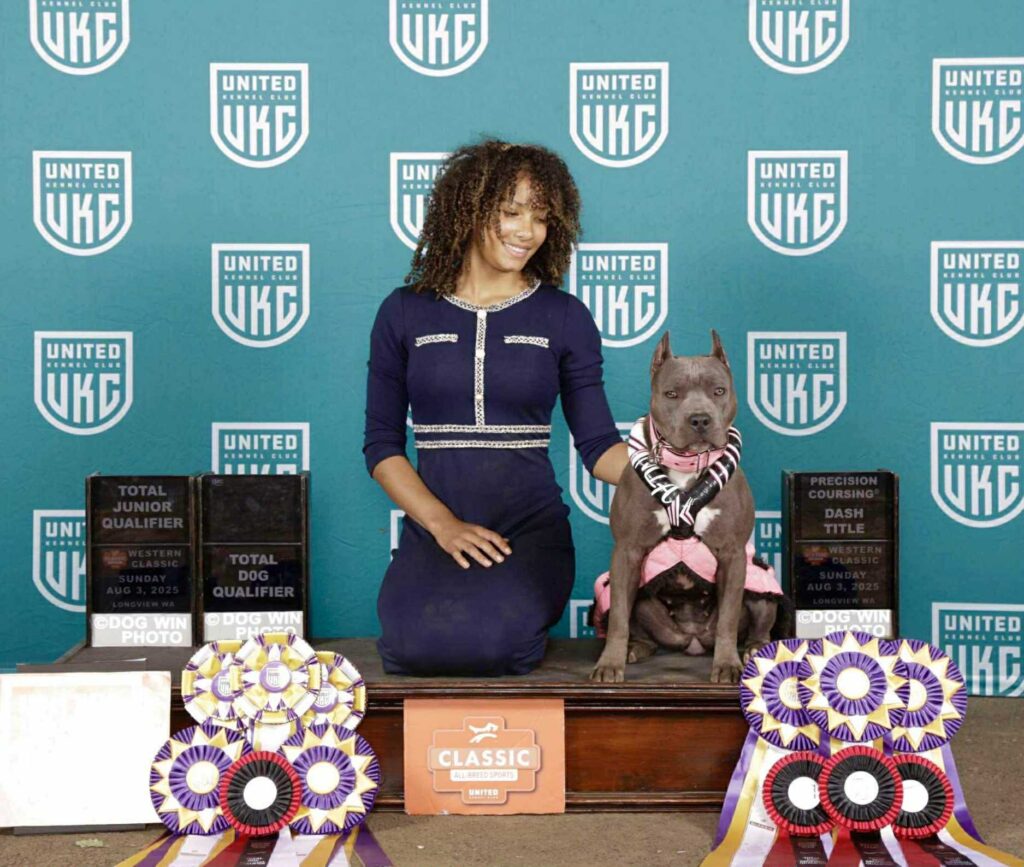 the best american pit bull terrier breeder in the usa