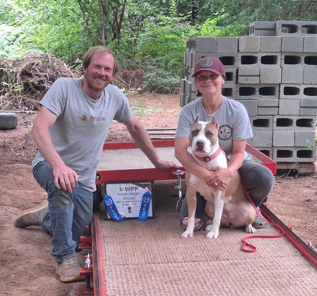 the best american pit bull terrier breeder in the usa