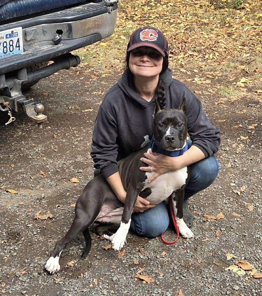 black american pit bull terrier in Tenino washington