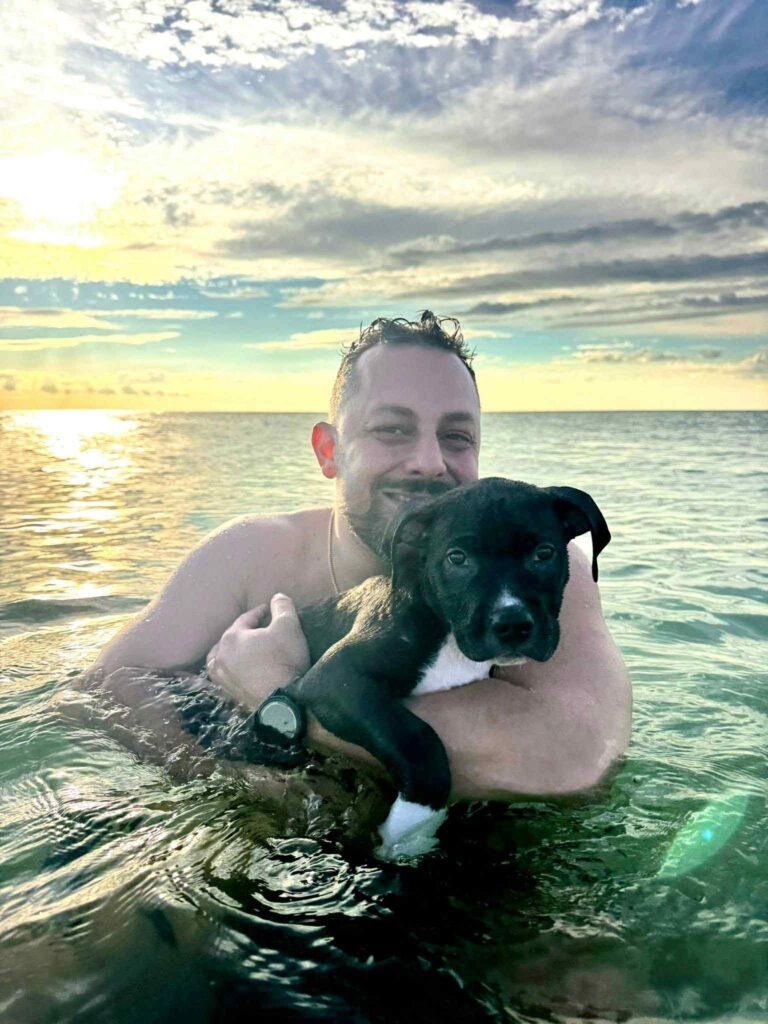 the best american pit bull terrier breeder in the usa