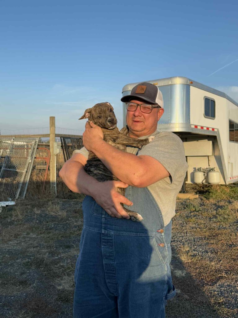 pit bull puppy in Louisiana