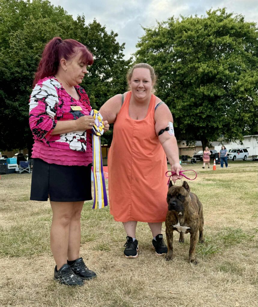 the best american pit bull terrier breeder in the usa