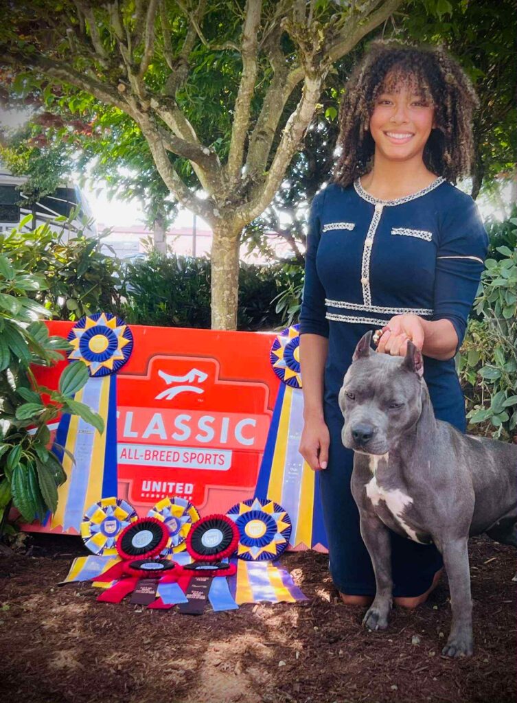 pit bull puppies for sale in the usa