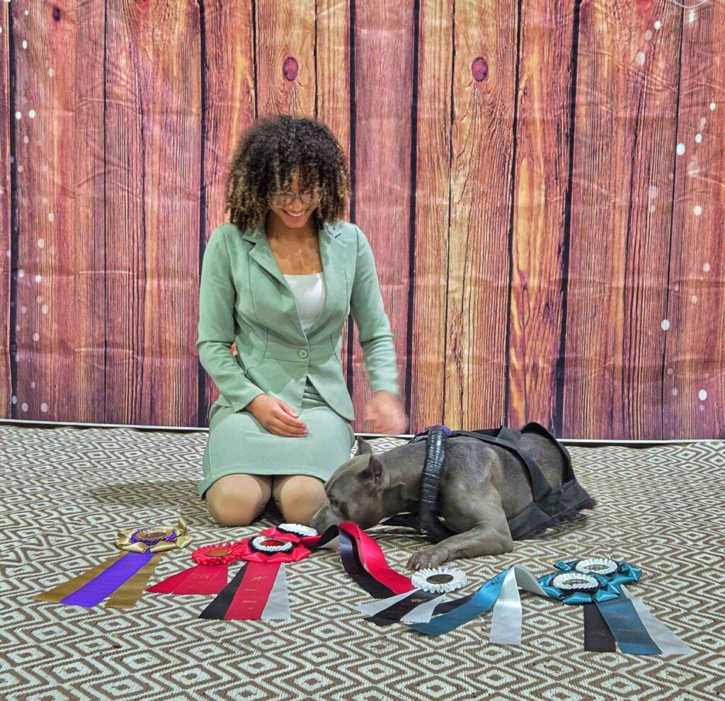 american pit bull terrier puppies for sale in the usa