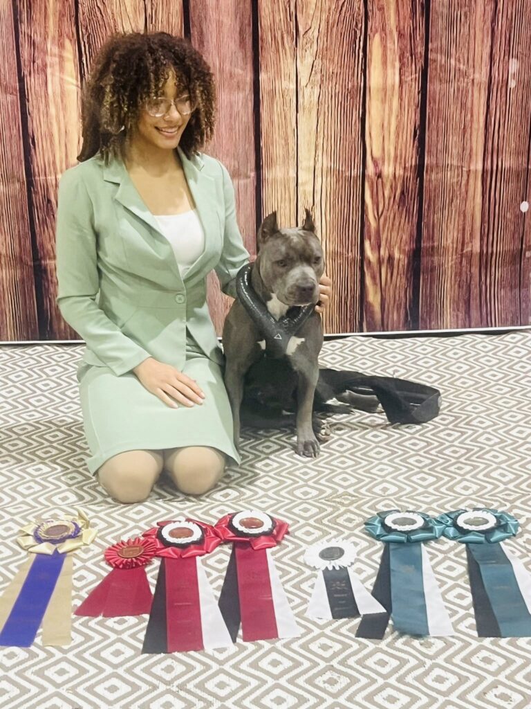 grand champion blue nose pit bull