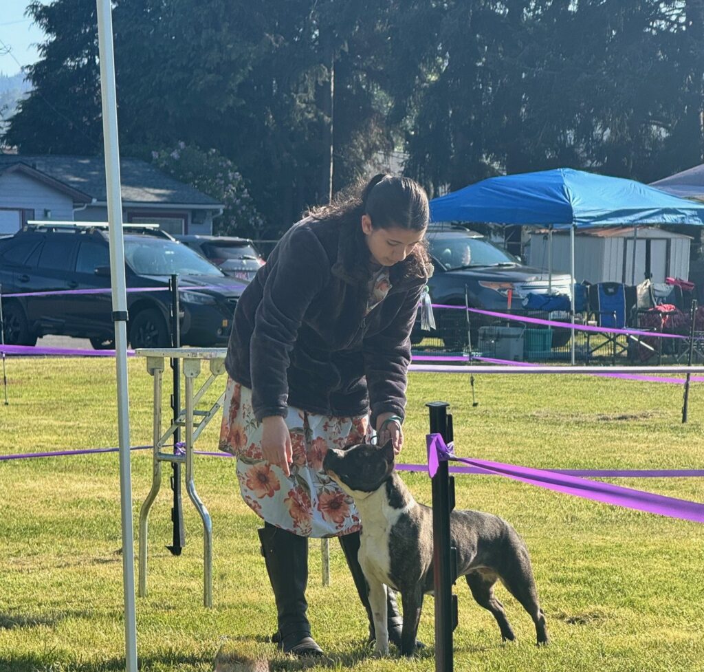 number one original pitbull breeder in the usa