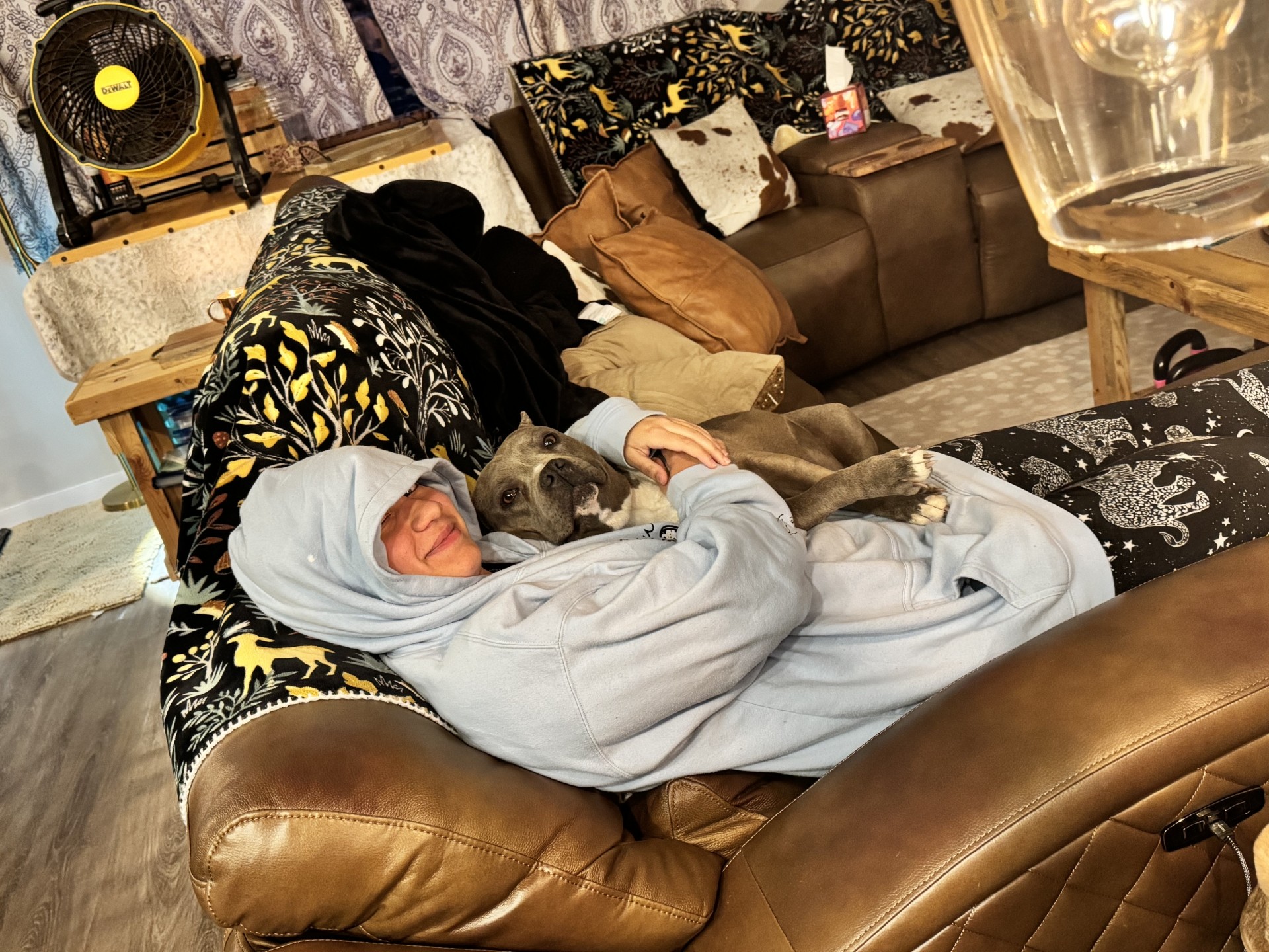 Best pitbull breeder in the USA