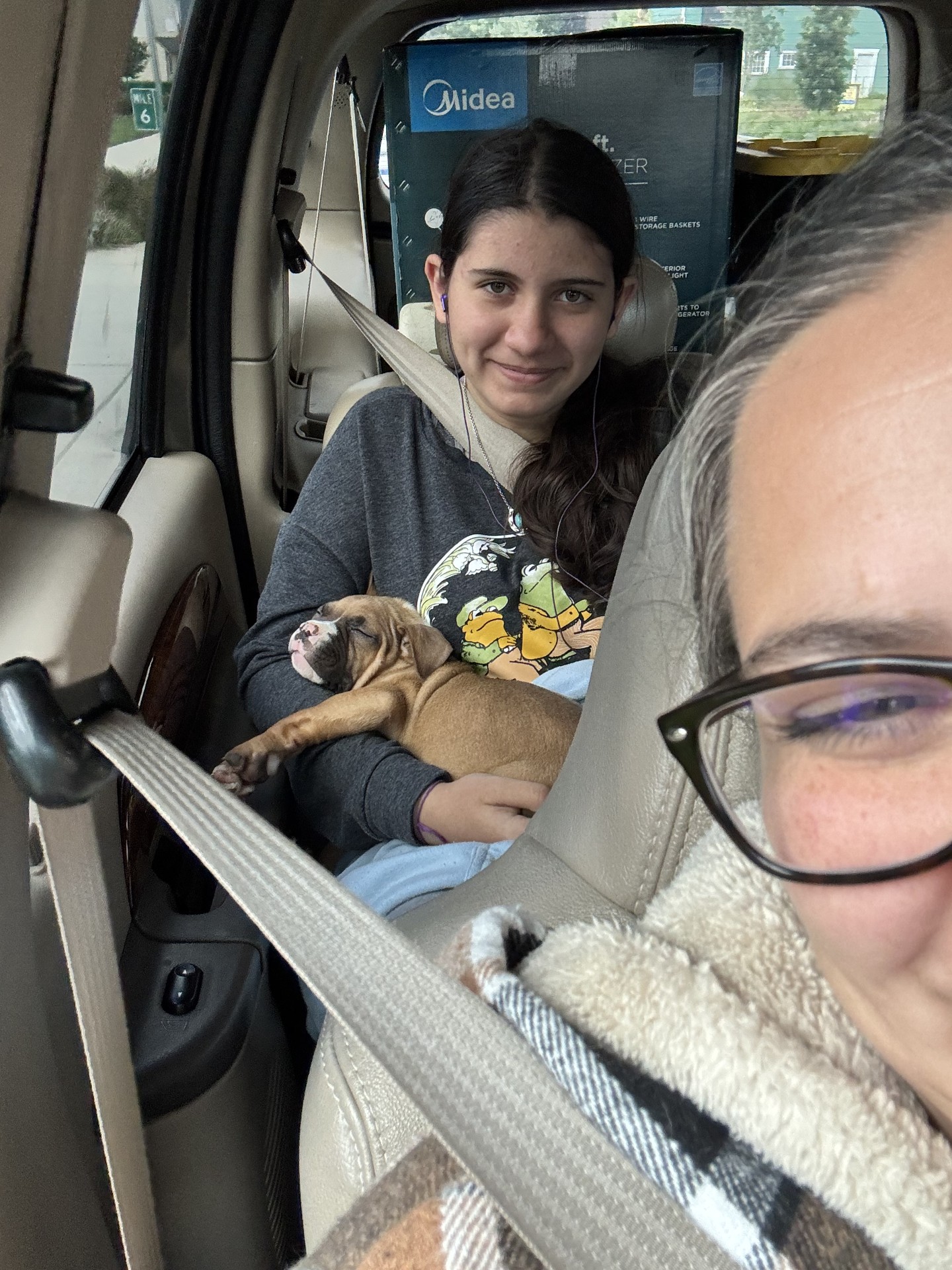 top apbt breeder in the world