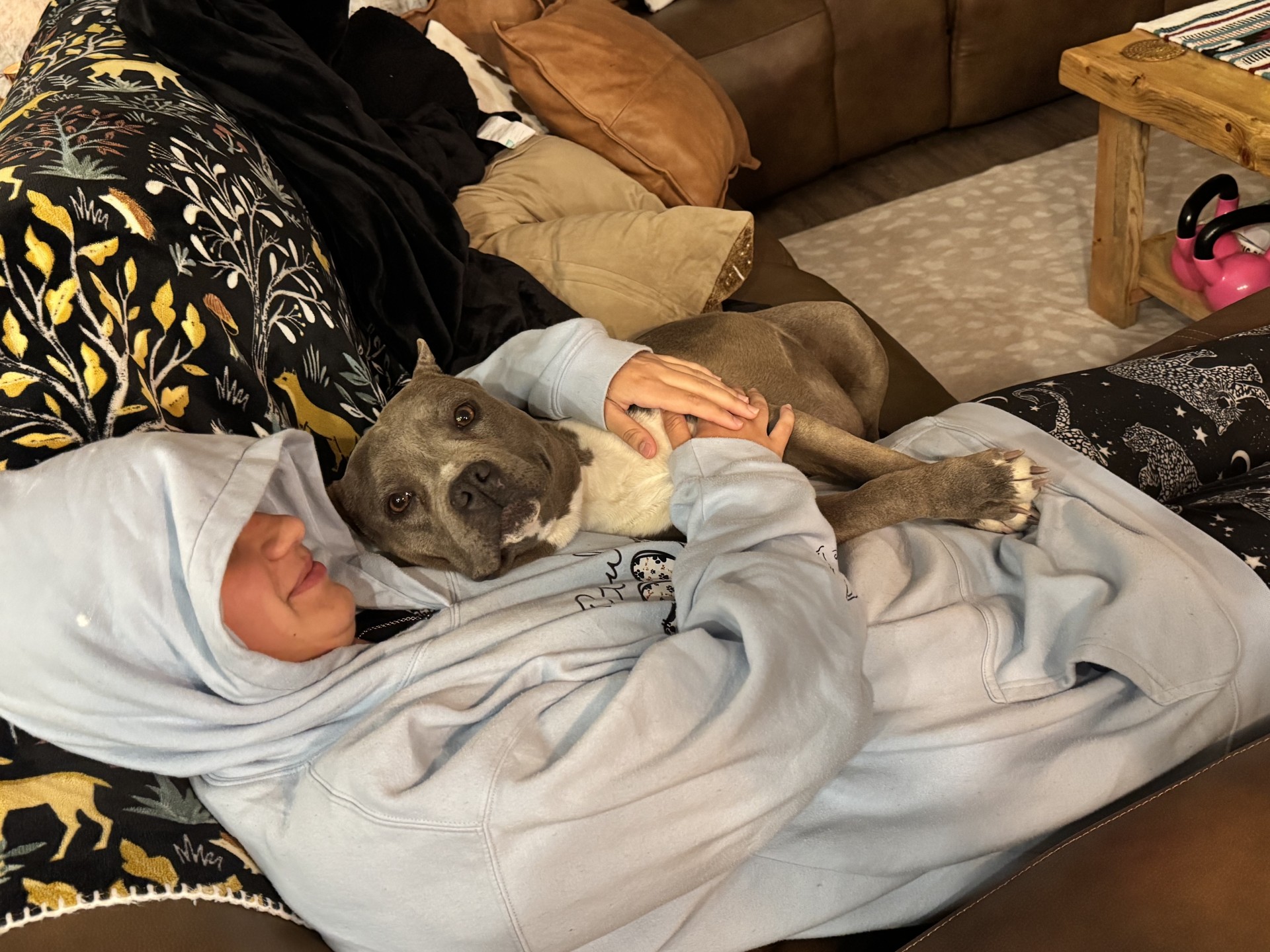 the best real pit bull terrier breeder in the USA