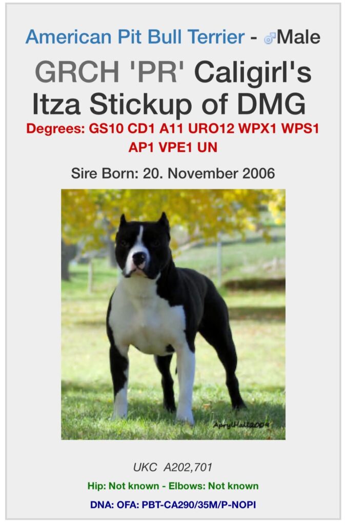 Largest collection of apbt frozen semen