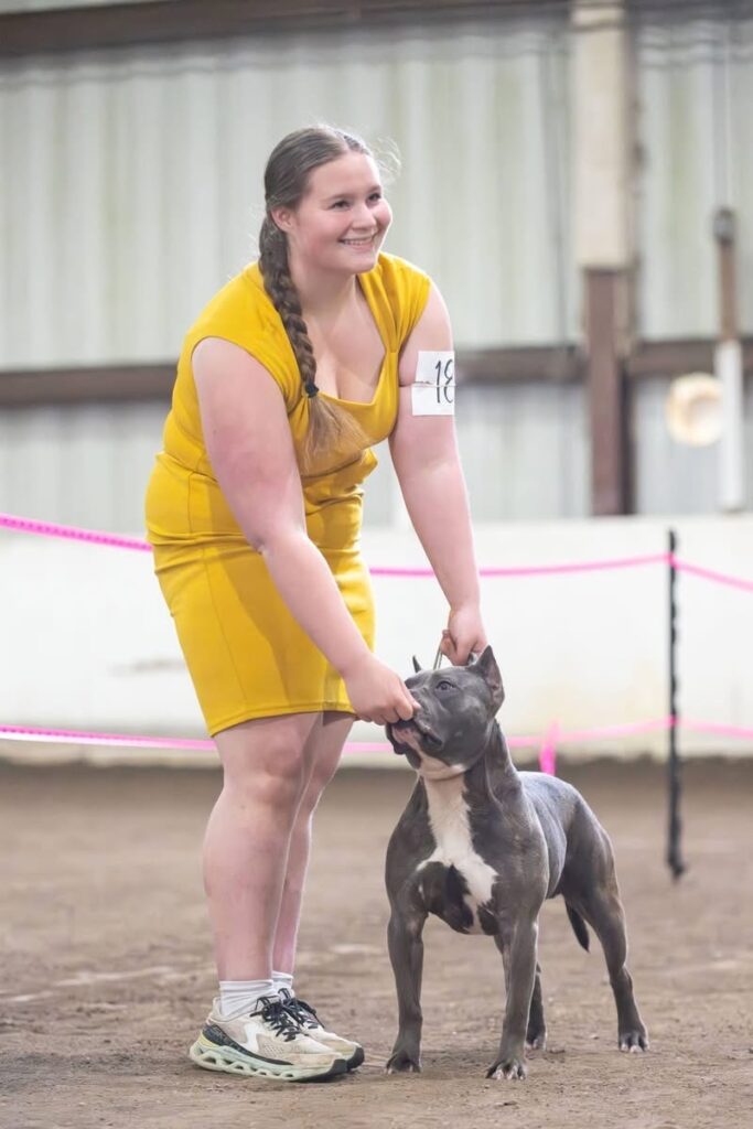 reputable american pit bull terrier breeder