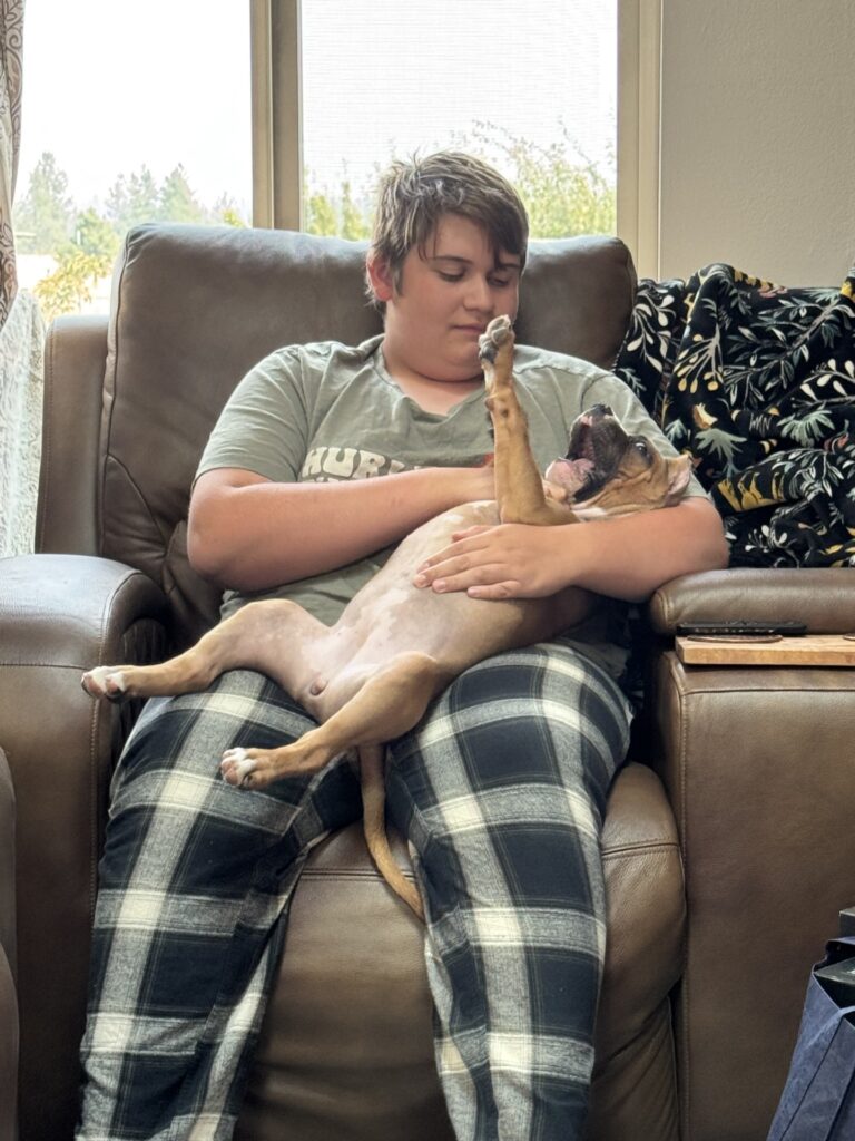 reputable american pit bull terrier breeder
